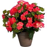 Mica Decorations Begonia Kunstplant in Bloempot Stan - H37 x Ø36 cm - Donkerroze