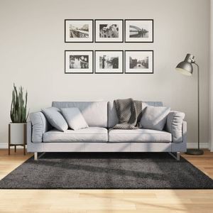 vidaXL-Vloerkleed-shaggy-hoogpolig-modern-160x160-cm-antraciet