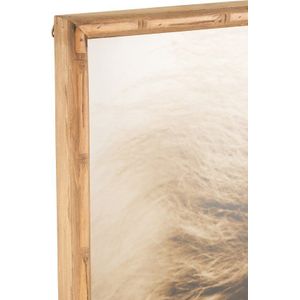 J-Line Wanddecoratie Leeuw Hout Glas Bruin