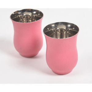Textured Stainless Steel Pink Glasses (Set of 2)