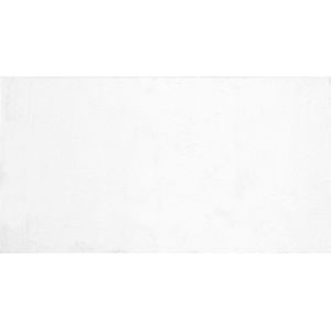 MIRPUR - Shaggy vloerkleed - Wit - 80 x 150 cm - Polyester