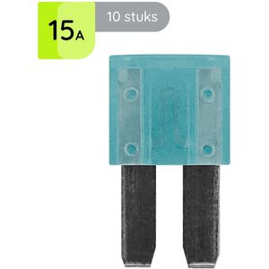 ProRide Steekzekeringen Micro 2 - 15A - Blauw - Geschikt voor auto, boot en camper - 10 stuks