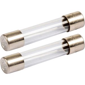 VLTG Glaszekering 5x20mm T(traag) - 1.25A - Beschermt tegen kortsluiting - 2 stuks