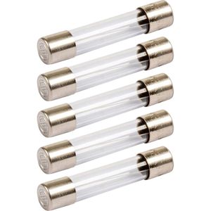 VLTG Glaszekering 5x20mm - 30A - F(snel) - Beschermt tegen overbelasting - 5 stuks