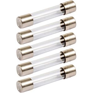 VLTG Glaszekering 5x20mm - 12A - F(snel) - Beschermt tegen overbelasting - 5 stuks