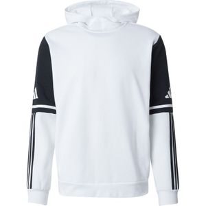 Sportsweatshirt 'Squadra 25'