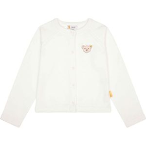 Gebreid vest
