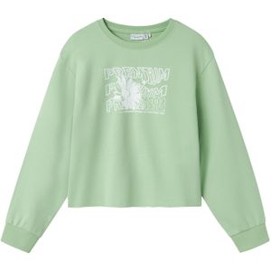 Sweatshirt 'NKFVANITA'