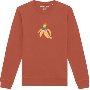 Sweatshirt ' Rainbow Banana '