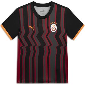 Functioneel shirt 'Galatasaray SK 24/25'