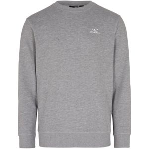 O'Neill Sweater met Logo Grijs