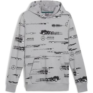 Sweatshirt 'Mercedes-AMG Petronas F1® '