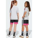 Sportbroek 'Tiro 25 Essentials'