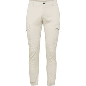 Cargobroek 'JJIPaul JJFlake'