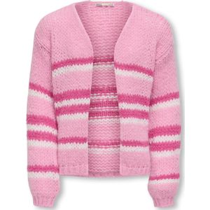 Gebreid vest 'KOGNordic'
