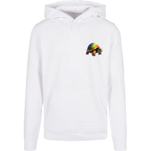 Sweatshirt 'Rainbow Turtle'