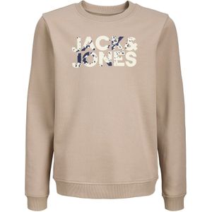 Sweatshirt 'JJSTYD'