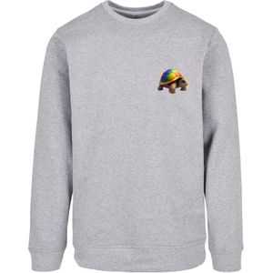 Sweatshirt 'Rainbow Turtle'