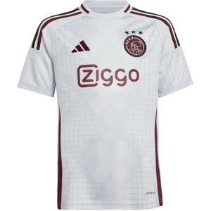 Functioneel shirt 'Ajax Amsterdam 24/25 Away'