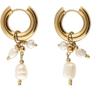 My Jewellery Oorbellen goud