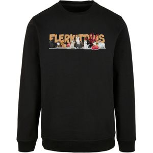 Sweatshirt 'The Marvels - Flerkittens Group'