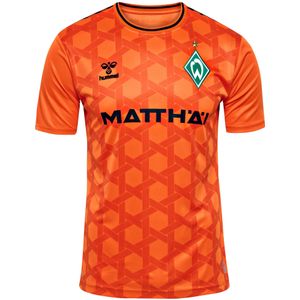 Tricot 'Werder Bremen 23/24'