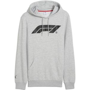 Sportsweatshirt 'F1® ESS'