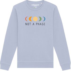 Sweatshirt ' Not a Phase '