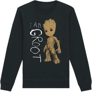 Sweatshirt 'Marvel Guardians of the Galaxy Ich bin Groot'