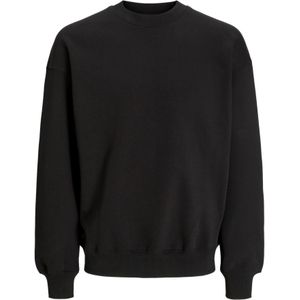 Sweatshirt 'JJEURBAN EDGE'