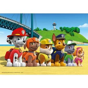 Paw Patrol Dappere Honden Puzzel (2x24 stukjes)