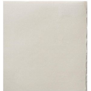 Awagami Bunkoshi select papier 52x43cm