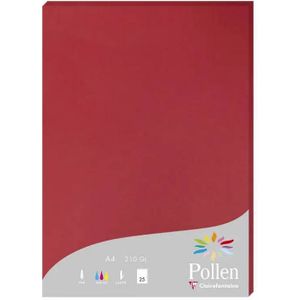 Clairefontaine Pollen papier 210 gram A4 - 24212 rood