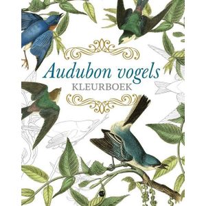Mus Creatief  Audubon vogels kleurboek