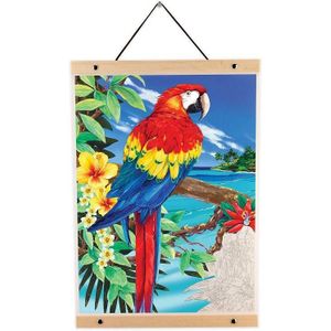 Royal & Langnickel Schilder op nummer roll12 parrot