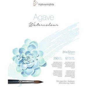 Hahnemuhle Agave watercolour blok - Maat 24 x 32 cm