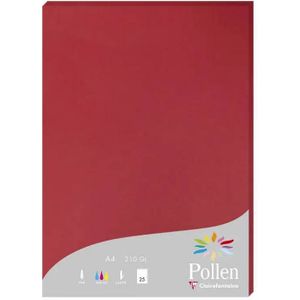 Clairefontaine Pollen papier 210 gram A4 - 24298 zwart