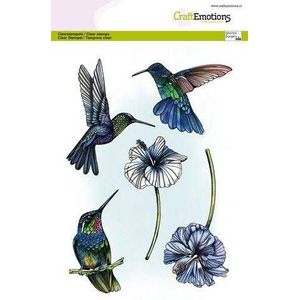 Craftemotions Clearstamp A5 3020 hummingbird