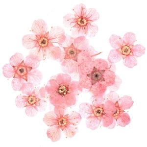 Rico Design Mini flowers pink 500700