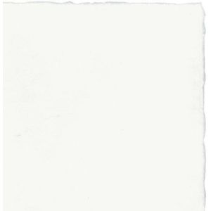 Awagami Hakuho select papier 52x43cm