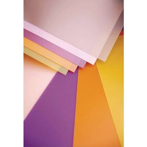 Clairefontaine Polypro sheets 50x70 - 975860 zilver