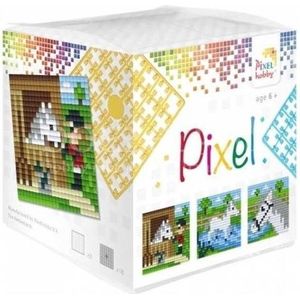 Pixelhobby Set kubus paarden 29006