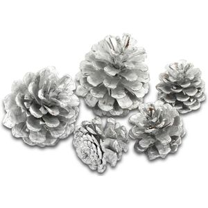 Meyco Dennenappels zilverkleur - 34931 maat ca. 3-4cm per 6 stuks