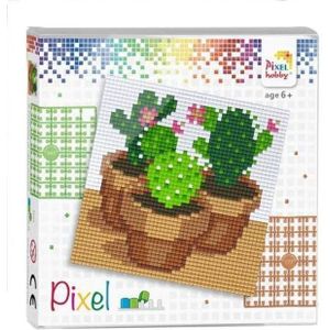 Pixelhobby Set pixel cactussen 44009