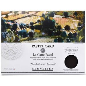 Sennelier Pastelcard map charcoal