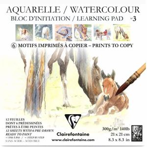 Clairefontaine Aquarel kleurblok 21x21 nr.3