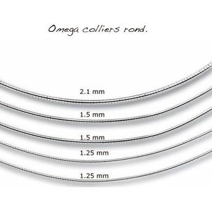 Zilveren omega collier 1300651