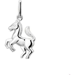 Zilveren Hanger paard 1020196