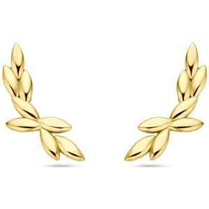 zilver verguld (geel) oorknoppen 20 mm 1 micron 2103707