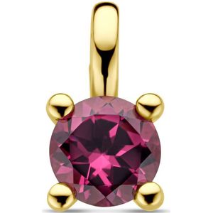14K geelgoud hanger roze rhodoliet 4030104